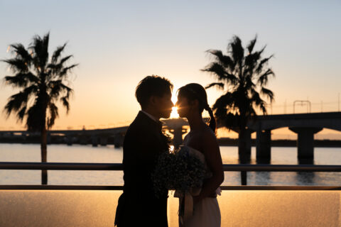 ❁Blooming Flowers❁